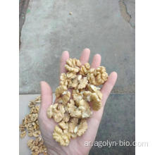 جديد Crop Xinjiang 185 Walnut للبيع